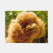 Podle Dog. Deurmat (Voorkant)