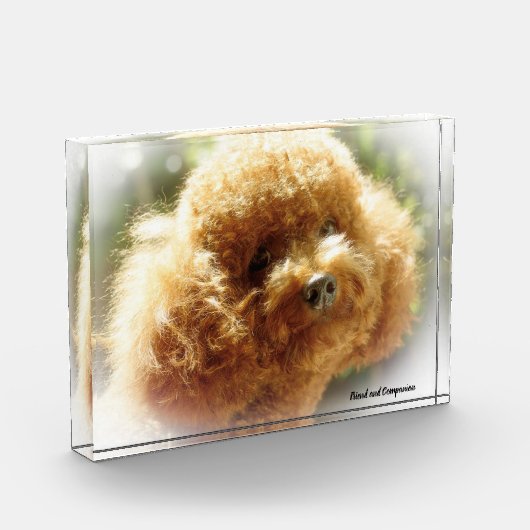 Podle Dog. Fotoblokken (Links)