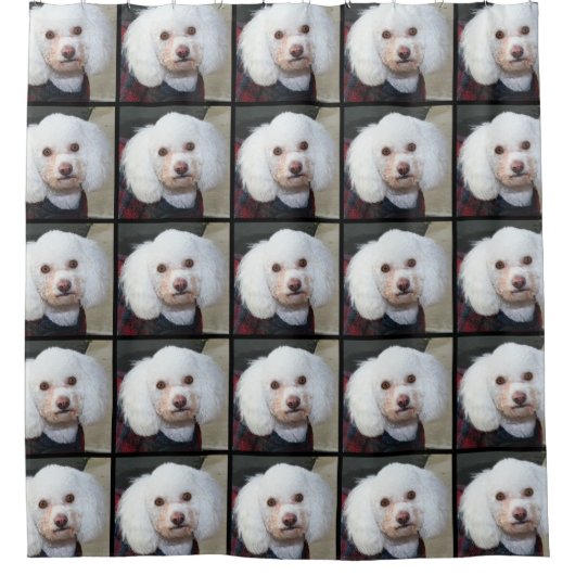Podle dog Shower Curtain Douchegordijn (Voorkant)