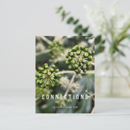 Pods de semences - Carte postale Connections Manif (Debout devant)