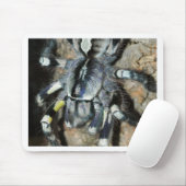 Poecilotheria regalis muismat (Met muis)