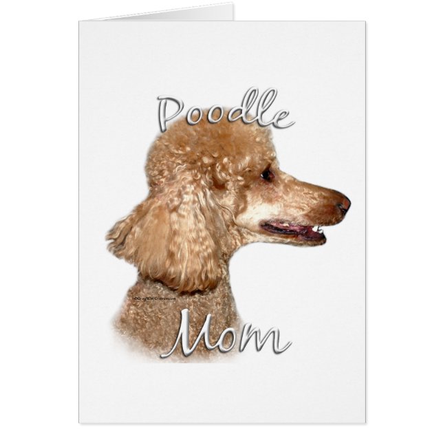 Poedel (abrikoos) Mam 2 (Voorkant)