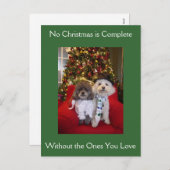 Poedel kerstwensen feestdagenkaart (Voorkant / Achterkant)