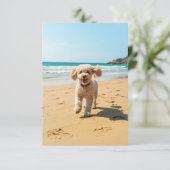 Poedel op het strand kaart (Staand voorkant)