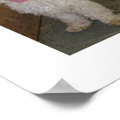poedel poster (Hoek)