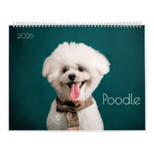 Poedel Schattige Poedel Puppies 2024 Kalender
