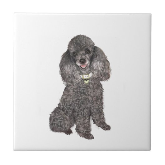 Poedel - Speelgoed / Miniatuur Zilver Tegeltje (Voorkant)