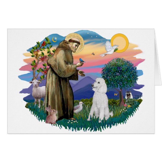 Poedel (standaard wit) (Voorkant Horizontaal)