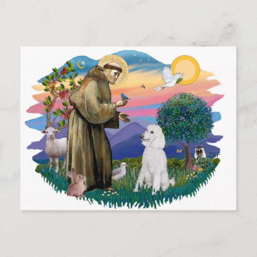 Poedel (standaard wit) briefkaart (Voorkant)