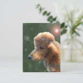 POEDEL VOOR DE FEESTDAGEN (Staand voorkant)