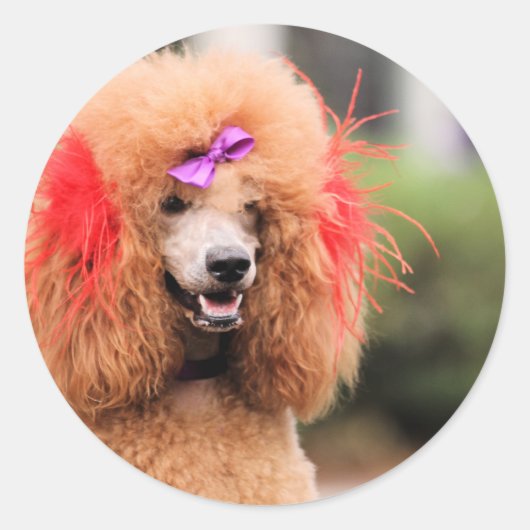 Poedeldag 2010 #1 ronde sticker (Voorkant)