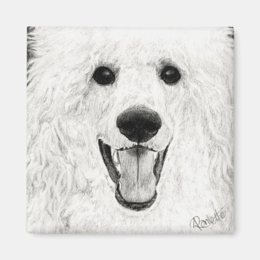 Poedelmagneet - "Jolly Boy" Magneet (Voorkant)