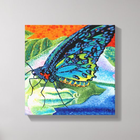 Poeder-Butterfly II Canvas Afdruk (Voorkant)