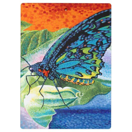 Poeder-Butterfly II Klembord (Achterkant)