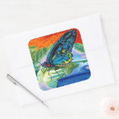 Poeder-Butterfly II Vierkante Sticker (Envelop)