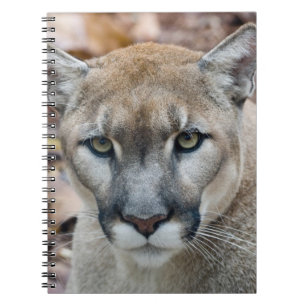 Poema, bergleeuw, Florida panter, Puma Notitieboek