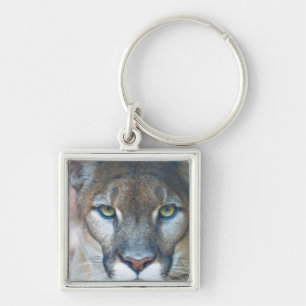 Poema, bergleeuw, Florida panter, Puma Sleutelhanger