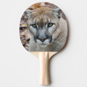 Poema, bergleeuw, Floridapanter, Puma 2 Tafeltennisbatje