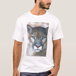 Poema, bergleeuw, Floridapanter, Puma T-shirt