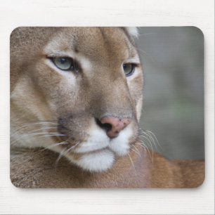 POEMA gezicht ogen macro katten wild Muismat