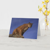 Poema Kaart (Gele Bloem)