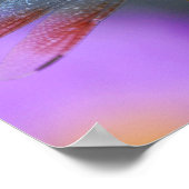 Poème de libellule curieux - affiche / impression (Coin)