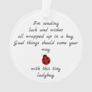 Poème Ladybug : Voeux, Hugs & Bonne Chance