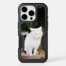 poepende kat