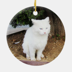 Poepende Kat Keramisch Ornament