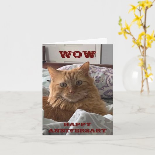 POES DIE MIAUWT ZEGT **GEFELICITEERD MET JE TROUWd Kaart (Gele Bloem)