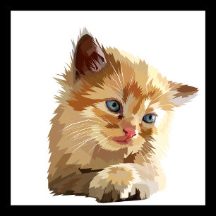 Poes Draagtas