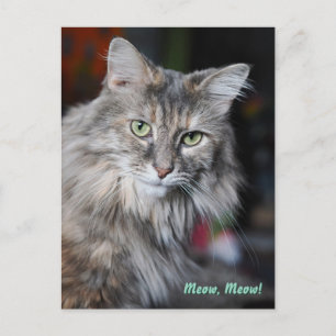 Poes Portret Meow Meow Feestdagenkaart