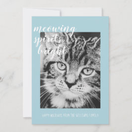 Poesengelster uw kattenfoto vakantie feestdagenkaart