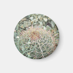 Poésie du désert Cactus Réfrigérateur Magnet cadea