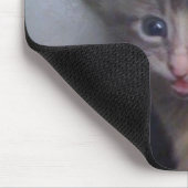 poesje muismat (Hoek)