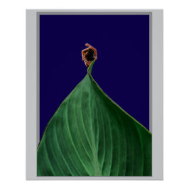 Poético Verde Orgânico Folha Estética Natural Perfect Poster