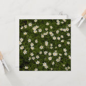 Poëtische bosanemonen Dank je voor onze vriendscha Kaart (Voorkant / Achterkant in situ)