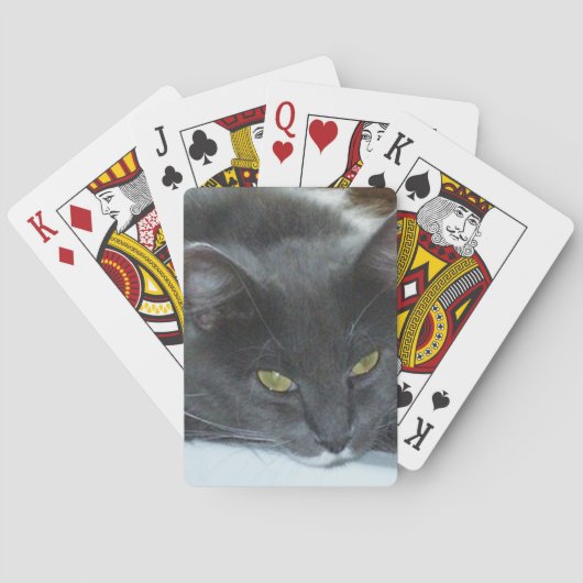 Poezenkatten 8 Speelkaarten (Achterkant)