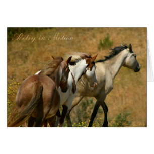 Poëzie in Motion ~ Wild Mares