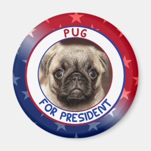 POG VOOR PRESIDENT MAGNEET