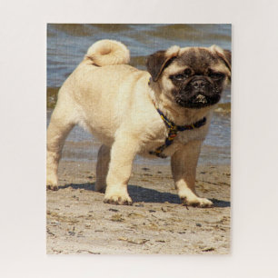 poggy hond baby legpuzzel