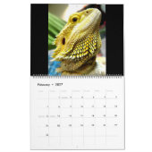 Pogona Vitticeps Calendrier Dragon Porté (Feb 2027)
