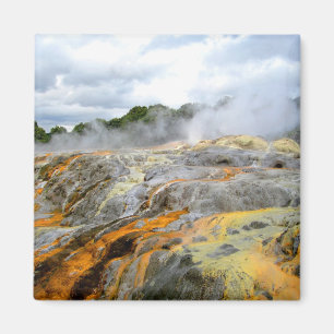 Pohutu Geyser, Rotorua, Nieuw-Zeeland Magneet