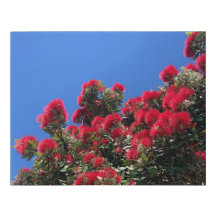 Pohutukawa nepprentatie op canvas