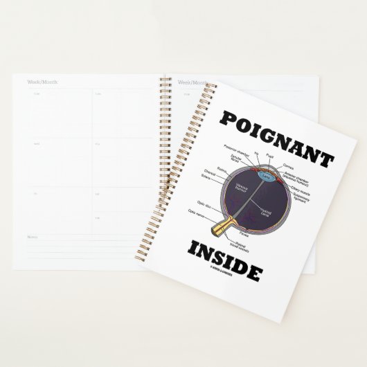 Poignant oog (I) in anatomisch eyeball Planner (Display)