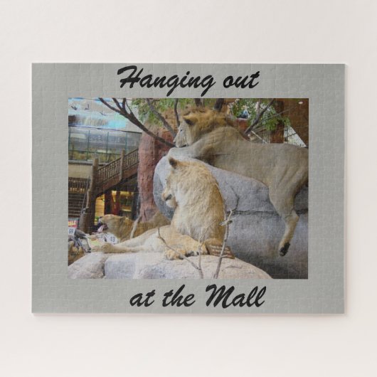 Poignée au puzzle du centre commercial (Horizontal)