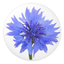 poignée de porte bleu bleuet