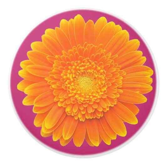 poignée de porte en forme de marguerite orange (Devant)