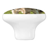 Poignée de porte, photo de vache (Côté)