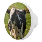 Poignée de porte, photo de vache (Droite)